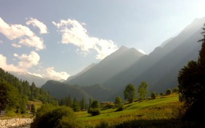 Consigli “caduti nella rete”