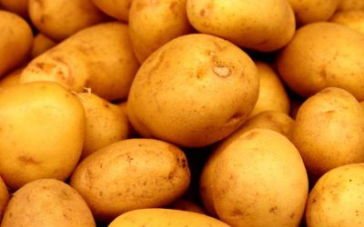 Consigli di lettura per l’inverno