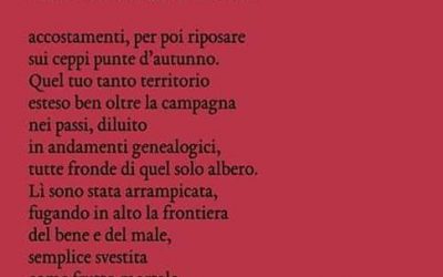 Il senso che mi fa la parola