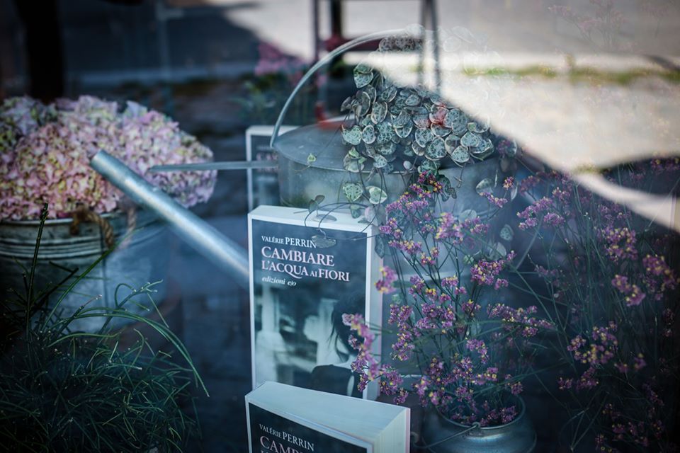 Cambiare l’acqua ai fiori