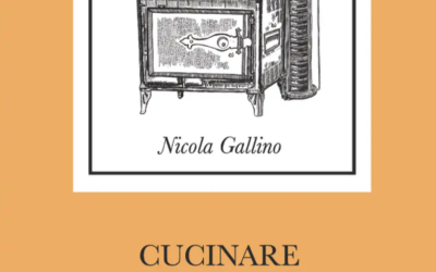 Cucinare con il forno a onde mesmeriche