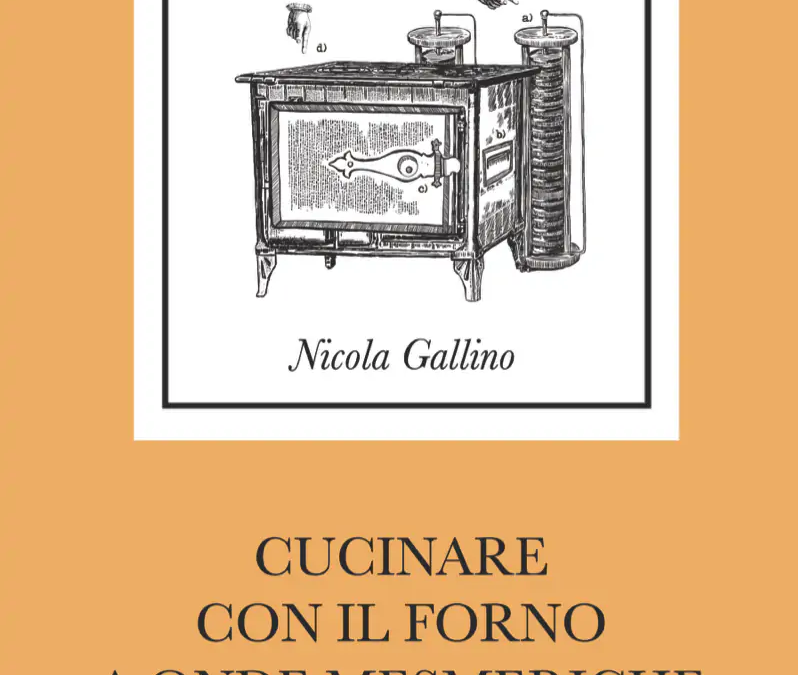 Cucinare con il forno a onde mesmeriche